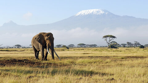 North Tanzania 6 Nächte - Privat