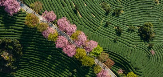 Städtetrips im Frühling