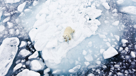 Rundreise Tromsø & Spitzbergen
