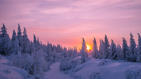 Kulinarik & Nordlichter 