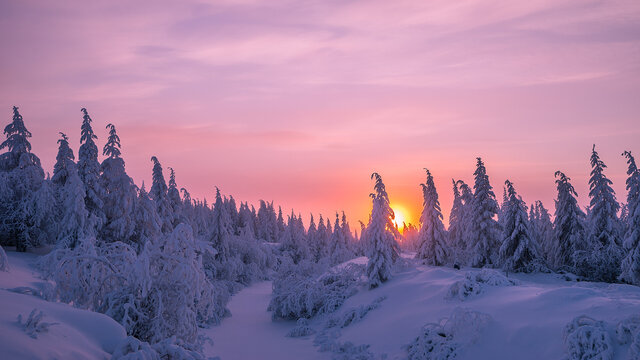 Kulinarik & Nordlichter 