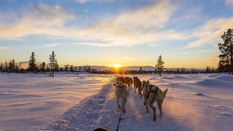 Lappland zum Verlieben