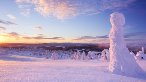 Magische Momente in Lappland 