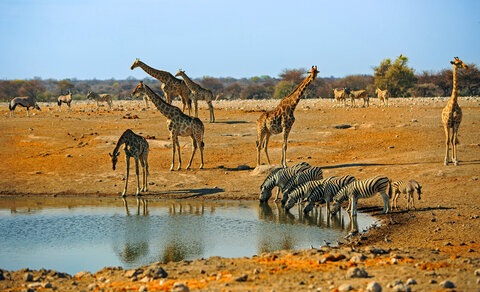 African Explorer | Von den Viktoriafällen bis zum Indischen Ozean