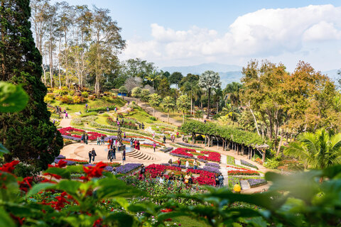Mekong Flusskreuzfahrt Orchidee - von Vientiane ins Goldene Dreieck