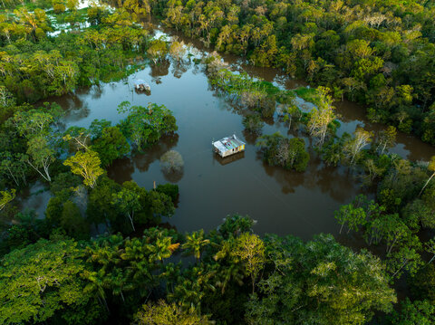 Exklusiv-Charter: 1.000 Meilen auf dem Amazonas Von Tabatinga nach Manaus