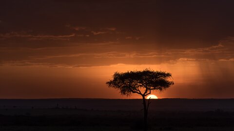 North Tanzania 4 Nächte - Privat