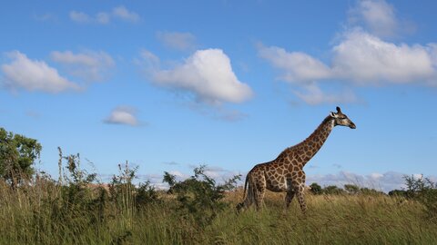 North Tanzania 4 Nächte - Privat