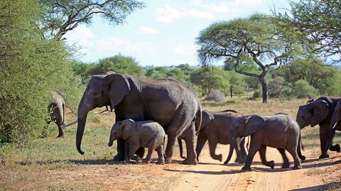 North Tanzania 4 Nächte - Privat