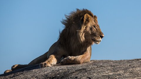 North Tanzania 6 Nächte - Privat