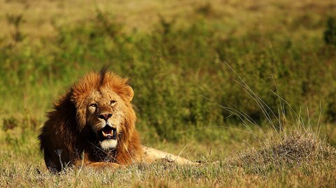 North Tanzania 7 Nächte - Privat