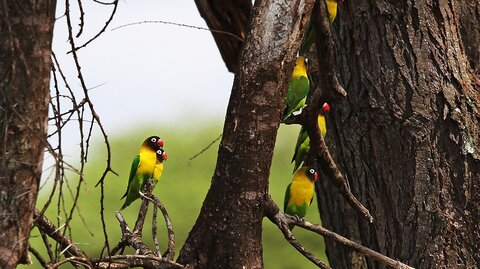 North Tanzania 10 Nächte - Privat