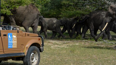 North Tanzania 10 Nächte - Privat