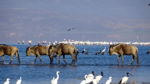 North Tanzania 12 Nächte - Privat