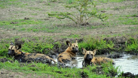 North Tanzania 12 Nächte - Privat