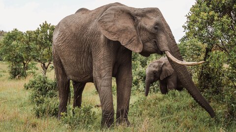 North Tanzania 12 Nächte - Privat