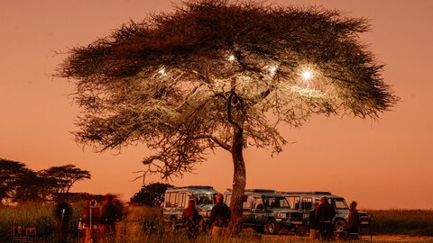 Tanzania Classic 4 Nächte - Privat