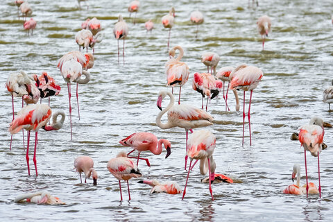 Tanzania Classic 4 Nächte - Privat