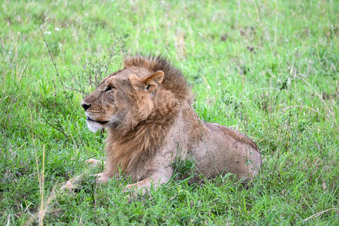 Tanzania Classic 4 Nächte - Privat