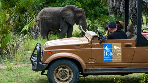 2 Nächte Fly-in Safari Selous/ Nyerere - Kleingruppe 