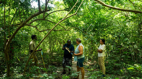 2 Nächte Fly-in Safari Selous/ Nyerere - Kleingruppe 