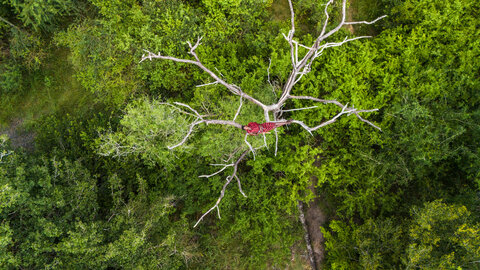 2 Nächte Fly-in Safari Selous/ Nyerere - Kleingruppe 