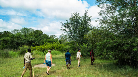 3 Nächte Fly-in Safari Selous/Nyerere - Kleingruppe