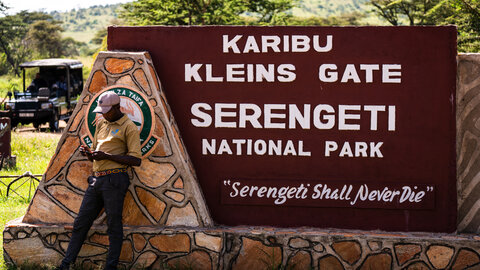 2 Nächte Fly-in Safari Serengeti - Privat