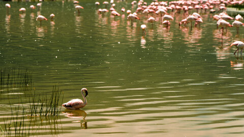 North Tanzania 4 Nächte - Privat