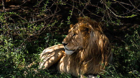 North Tanzania 4 Nächte - Privat