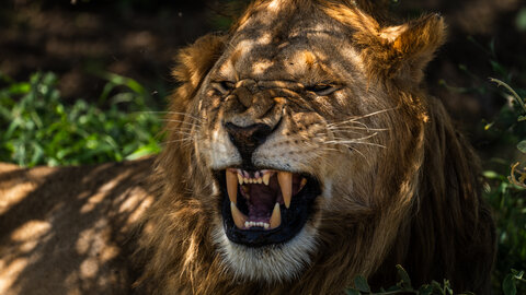 North Tanzania 5 Nächte - Privat