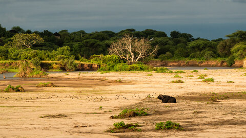 North Tanzania 5 Nächte - Privat