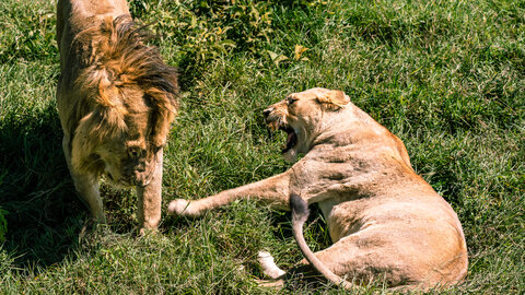 North Tanzania 5 Nächte - Privat