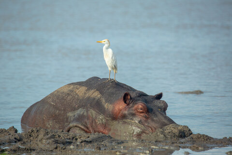 North Tanzania 6 Nächte - Privat