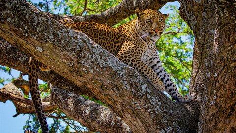 North Tanzania 6 Nächte - Privat