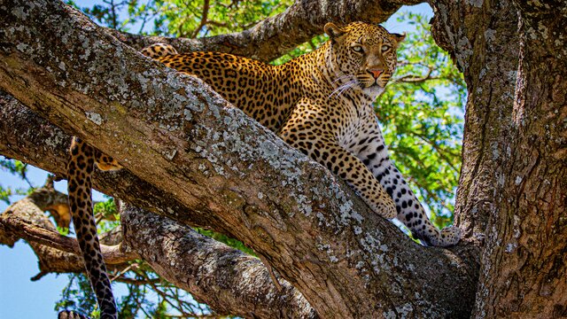 North Tanzania 6 Nächte - Privat