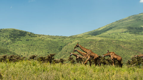 North Tanzania 6 Nächte - Privat