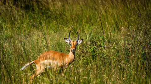 North Tanzania 6 Nächte - Privat