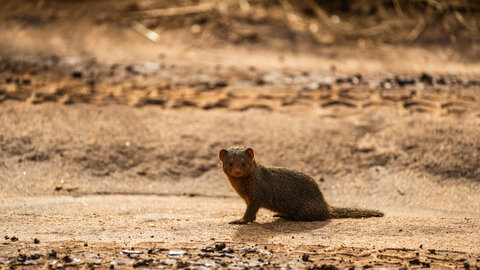 North Tanzania 6 Nächte - Privat