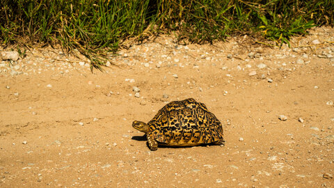North Tanzania 7 Nächte - Privat