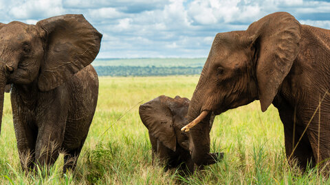 North Tanzania 7 Nächte - Privat