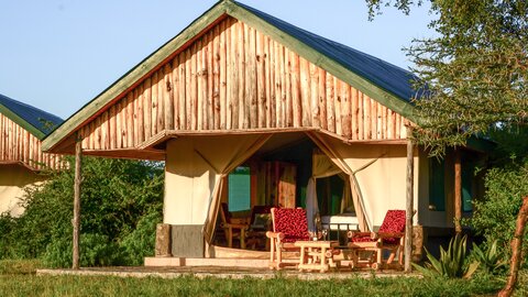 3 Nächte Fly-in Safari Serengeti - Privat