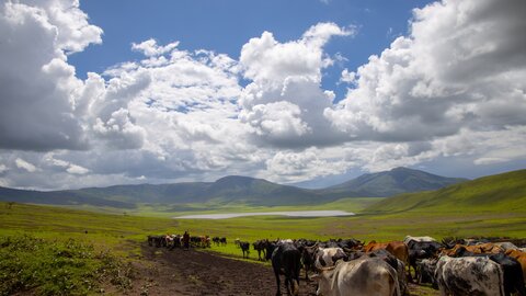 3 Nächte Fly-in Safari Serengeti - Privat