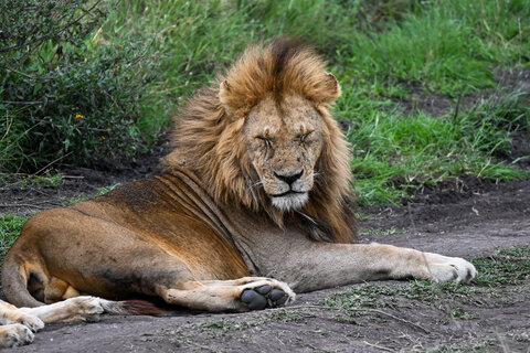 Tanzania Safari-Abenteuer 7 Nächte - Kleingruppe