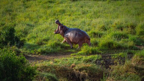 Tanzania Safari-Abenteuer 7 Nächte - Kleingruppe
