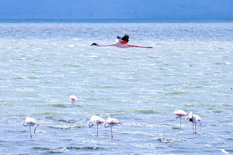 Tanzania Classic 4 Nächte - Kleingruppe