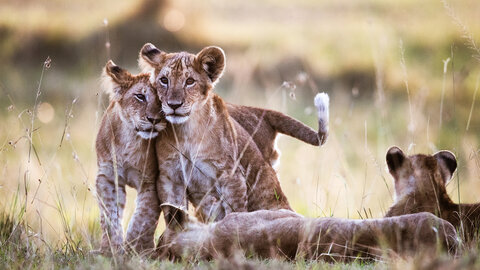 The Mombasa Rendezvous 3 Nächte - Kleingruppe