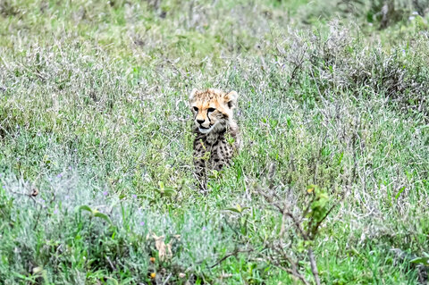 The Mombasa Rendezvous 3 Nächte - Kleingruppe