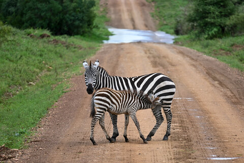 The Mombasa Rendezvous 3 Nächte - Kleingruppe