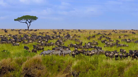 A Kenya Odyssey to Mombasa Coast 7 Nächte - Kleingruppe: ab Nairobi/bis Mombasa